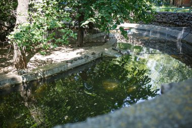 Nikolaev, Ukrayna - 5 Ağustos 2018. hayvanat bahçesinde kaplumbağa, şehir hayvanat bahçesi, Ukrayna.