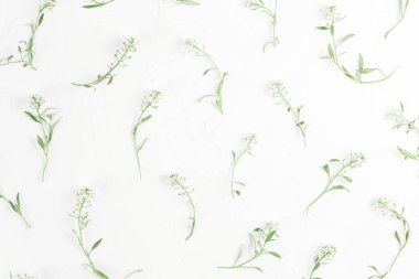 Dalları beyaz çiçeklerle çevrili.