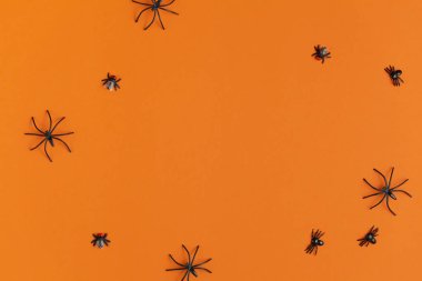 cadılar bayramı için arka plan, turuncu bir masa üzerinde örümcekler