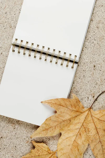 Bloc-notes ouvert sur la table, avec des feuilles dorées — Photo