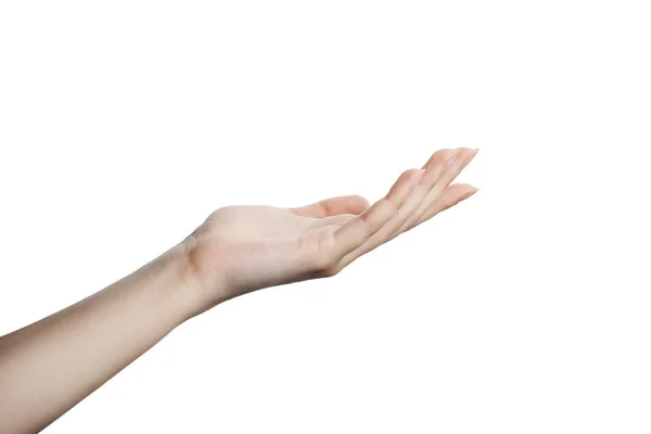 Vackra kvinnas hand isolerad på vit bakgrund. Palm upp — Stockfoto