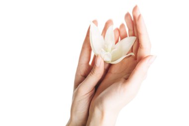 avuç içinde bir çiçek ile kadın eli, beyaz bir arka plan üzerinde izole