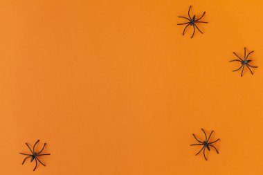 cadılar bayramı için arka plan, turuncu bir masa üzerinde örümcekler