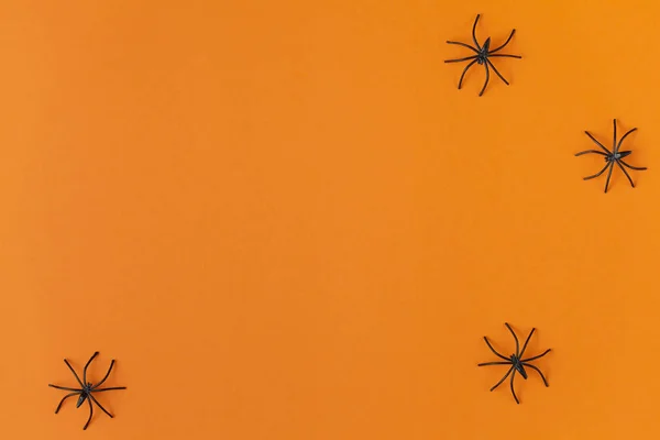 Achtergrond voor Halloween, spinnen op een oranje tafel — Stockfoto