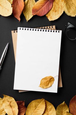 Siyah arkaplan üzerinde kalem olan dizüstü bilgisayar