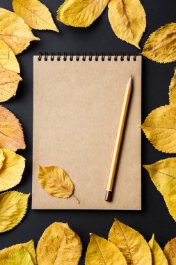 Siyah arkaplan üzerinde kalem olan dizüstü bilgisayar