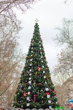 Şehrin merkezinde süslenmiş büyük bir Noel ağacı.
