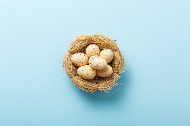 Paskalya arkaplanını tebrik ederim. Yuvadaki yumurtalar