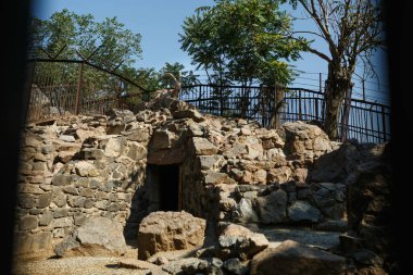 NIKOLAEV, UKRAINE - 5 Ağustos 2018 Hayvanat Bahçesindeki Hayvanlar