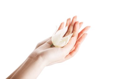 Avuçlarında çiçek olan kadınların elleri