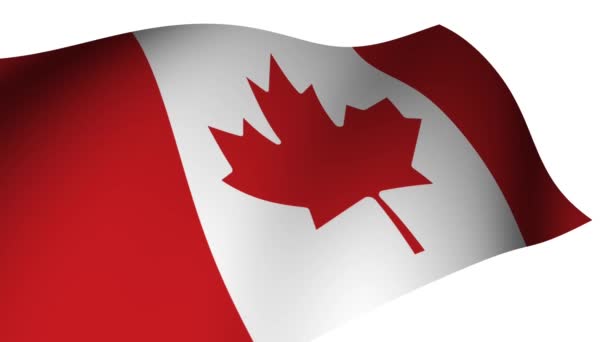 Canadian Flag Slowly Waving Background Cusma Application — Stock Video