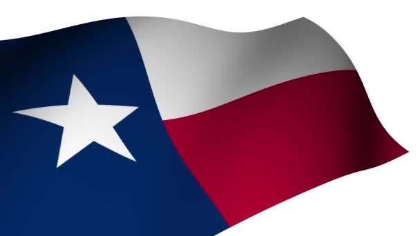 Flag State Texas Slowly Waving Patriotic 4Th July American Spirit — Stock Video