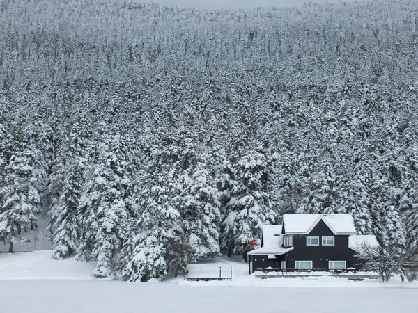 Winter house mountain, bolu abant winter house