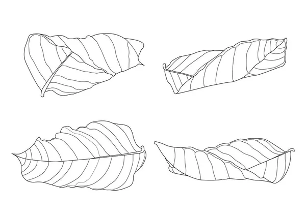 Skeletal Φύλλα Ξηρό Φύλλο Επένδυση Σχεδιασμό Λευκό Φόντο Εικονογράφηση Διάνυσμα — Φωτογραφία Αρχείου