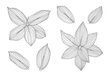 Çizgi tek yaprak ve yaprak deseni siyah beyaz arkaplan illüstrasyon vektörünü renklendirmek için getirir