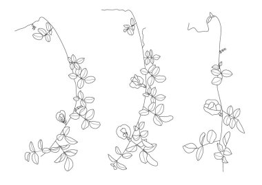 Çizgi tek yaprak ve yaprak deseni siyah beyaz arkaplan illüstrasyon vektörünü renklendirmek için getirir