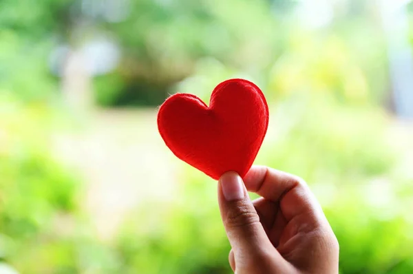 Mensch Hält Rotes Herz Zum Valentinstag Den Händen Oder Spendet — Stockfoto