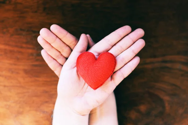 Cuore Mano Concetto Filantropia Donna Che Tiene Cuore Rosso Sulle — Foto Stock