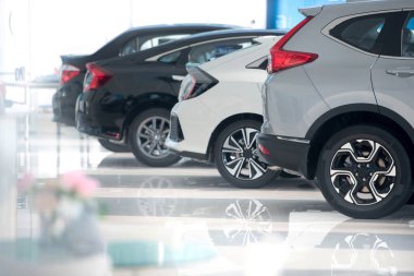 Yeni araba parkı için beyaz zemin