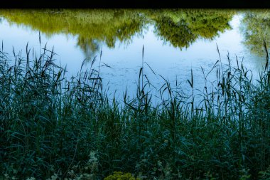 Kuşların gözlem noktasından bataklığın nefes kesici görüntüsü. Gözlem noktası çevredeki manzaraya soyut bir perspektif oluşturur. Göl, kömür madenciliği yüzünden oluştu..