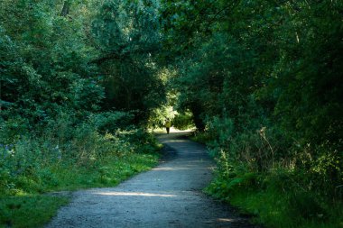 Birinin yolu asla düz değildir. Doğayı keşfetmek ve zihni temizlemek rahatlatıcıdır..