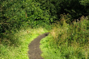 Birinin yolu asla düz değildir. Farklı yollara bakmak, hayatta yaptığın seçimlere benzemektedir. Bir yolu nasıl yorumlayacağınıza dair soyut bir bakış açısı. Düşüncelerinizi netleştirebilecek bir doğa yürüyüşü..
