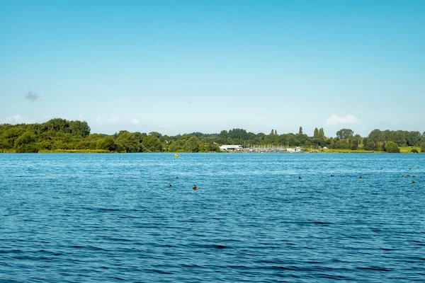 Göl kenarında doğa yürüyüşü yaparken Pennington Flash Country Parkı 'ndaki ormanla çevrili bir su çukurunda yerel bir tekne iskelesi görebilirsiniz. Tekne iskelesi daha fazla derinlik ve detay ekleyerek ormanın bir ucundan alıp bir bea oluşturur.