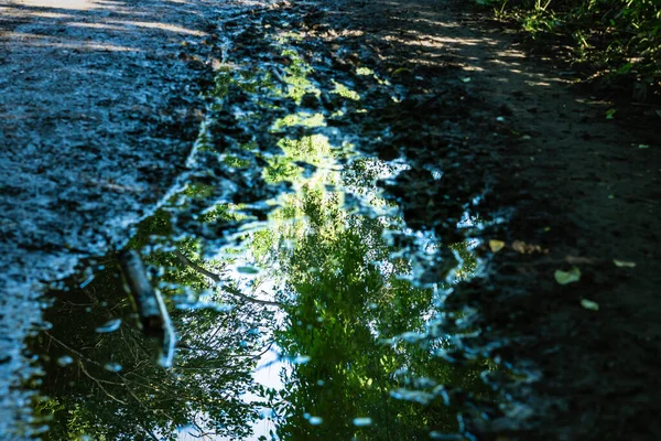 Abstract Photo Muddy Water Reflecting Surrounding Forest Seeing Nature Perspective — Stock Photo, Image