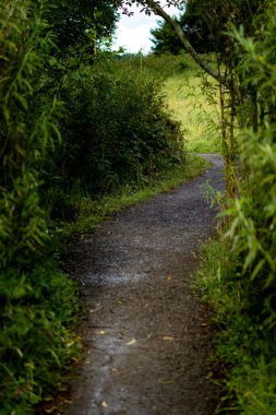 Yol devam ederken her iki tarafında bataklık olan güzel bir kemer yolu. Yolun sonuna geliyor ve sonunda nehrin etrafını kesen başka bir yola çıkıyor..