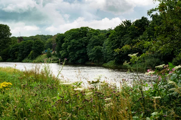 River Rumble 'da doğa yürüyüşüne. Doğa yürüyüşü yaparken her iki tarafında da çarpıcı bir orman olan güzel bir nehir. Nehirdeki ormanın güzel yansımasını yakalıyorum.,