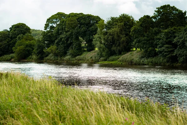 On a nature walk by River Rumble. A beautiful river with a stunning forest on either side whilst out on a nature walk. Capturing the beautiful reflection of the forest in the river,