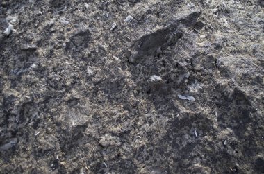 Doku kirli kar, kar çözdürme.