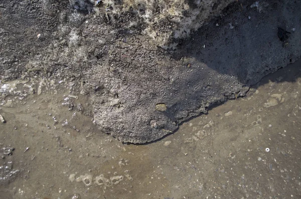 Doku kirli kar, kar çözdürme.