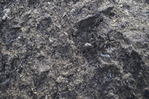 Doku kirli kar, kar çözdürme.