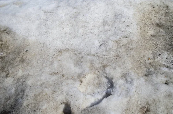 Doku kirli kar, kar çözdürme.