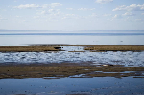 Nehir bankalar dışında güneşli bir bahar geldi.