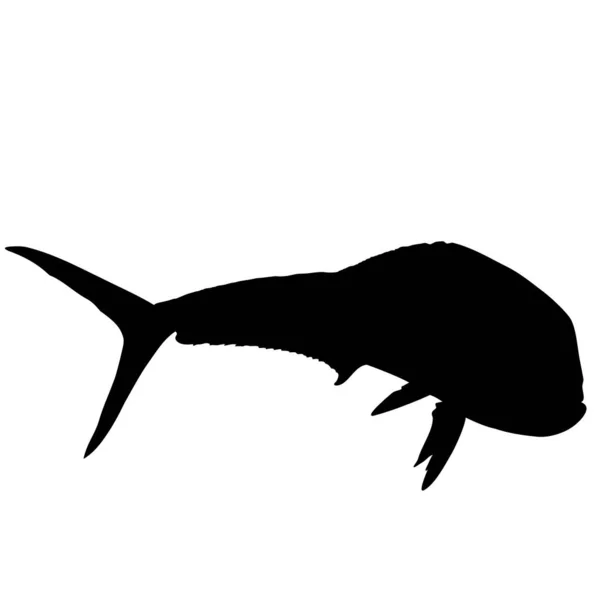 Solo Mahi Mahi Fisch Silhouette — Stockvektor