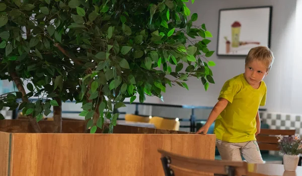 Lindo chico rubio jugando peekaboo, ocultar y mirar de los padres o amigos en la cafetería. Cuidado de niños y concepto de infancia feliz — Foto de Stock