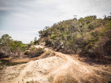 Kum tepeciğinde yürüyüş yolu, ağaçlar ve sahil otları arasında, suya götürür.