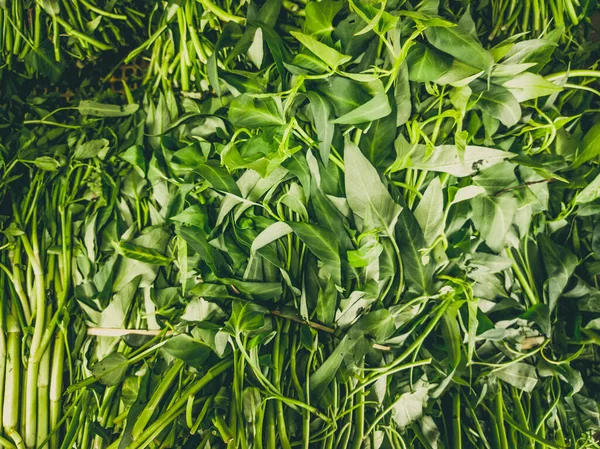 Zamknij stos surowego liścia szpinaku na lokalnym rynku azjatyckim rolników. Gotowanie i zdrowa koncepcja żywności, witaminy dla silnej odporności, dobra wartość odżywcza — Zdjęcie stockowe