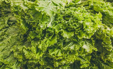 Yakın çekim yığını, Asya pazarında çiğ yaprak salatası yığını. Yemek pişirme ve sağlıklı gıda konsepti, güçlü bağışıklık için vitaminler, iyi bir besin değeri. Yeşil arkaplan