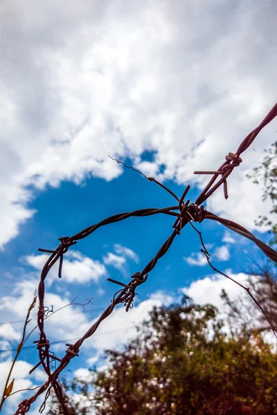 Intresting taggtråd på vertikal bakgrund av blå himmel med moln och blad. Vykort, affisch. Kopiera utrymme idealisk för användning i design eller tapeter. Berättelser vertikalt format — Stockfoto