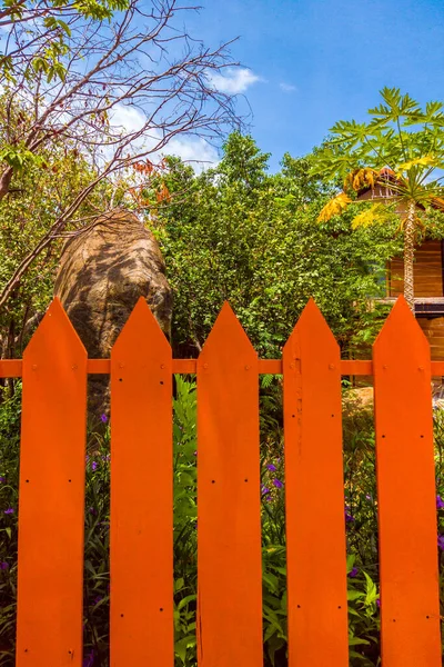 Wooden fence Exterior consisting of strips of orange panels with the sun shining on it and blue sky. Green Garden view. Weekend in the Country. Story vertical format — Stock Photo, Image