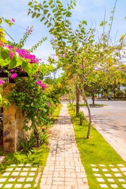 Güneşli havada ve mavi gökyüzüyle modern köyün yakınındaki kaldırım taşlarının olduğu güzel bir manzara. Ağaçlar, çiçekler ve yeşil yapraklar dışarıda. Hikayeler dikey biçimi