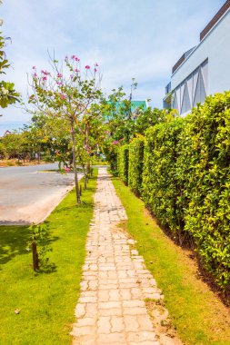Güneşli havada ve mavi gökyüzüyle modern köyün yakınındaki kaldırım taşlarının olduğu güzel bir manzara. Ağaçlar, çiçekler ve yeşil yapraklar dışarıda. Hikayeler dikey biçimi