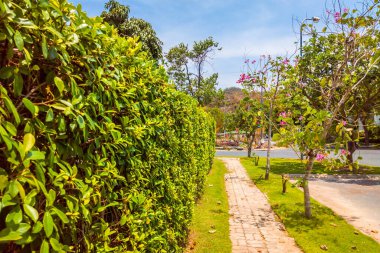 Güneşli havalarda güneşli bir köyde, modern evlerin yanında kaldırım taşları olan güzel bir manzara. Tropik ağaçlar, çiçekler ve yeşil yapraklar dışarıda.
