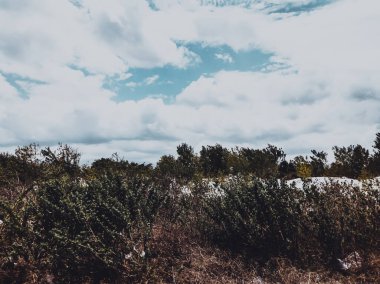 Mavi gökyüzü ve gün ışığında bir sürü beyaz büyük bulut. Doğal gökyüzü, dağlar ve bir sürü yeşil ağaç ve çimen bileşimi. Tasarım veya duvar kağıdı için ideal