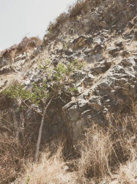 Doğal arka plan. Yakın kenarlı, eski püskü uçurum çatlakları. Dağların gri-kahverengi kaya dokusu. Renkli fotoğrafta eski ve soluk Matt tarzı renkler. Geolog, dağcılık ya da sıkı çalışma kavramı