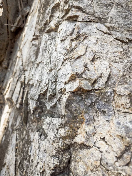 Natuurlijke achtergrond. Nauwkeurige scheuren in de rotswand. Grijs-bruine stenen rotsstructuur van bergen. Vintage en vervaagde matte stijl kleur in getinte foto. Begrip geolog, bergbeklimmen of hard werken — Stockfoto