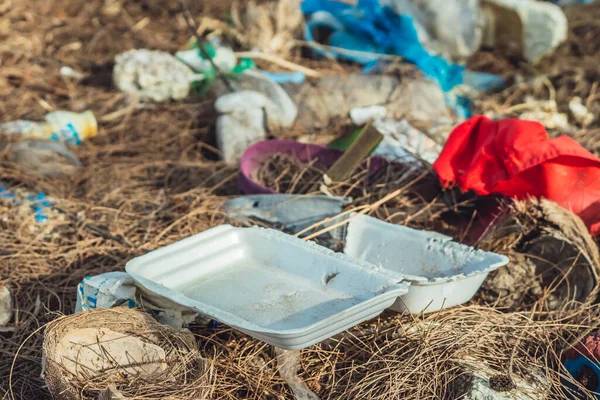 Tumpahan sampah daur ulang di hutan. Kosong digunakan limbah kotor busa putih plastik kotak makan siang sekali pakai Polusi total lingkungan, masalah ekologi, pemanasan global, orang tidak peduli — Stok Foto